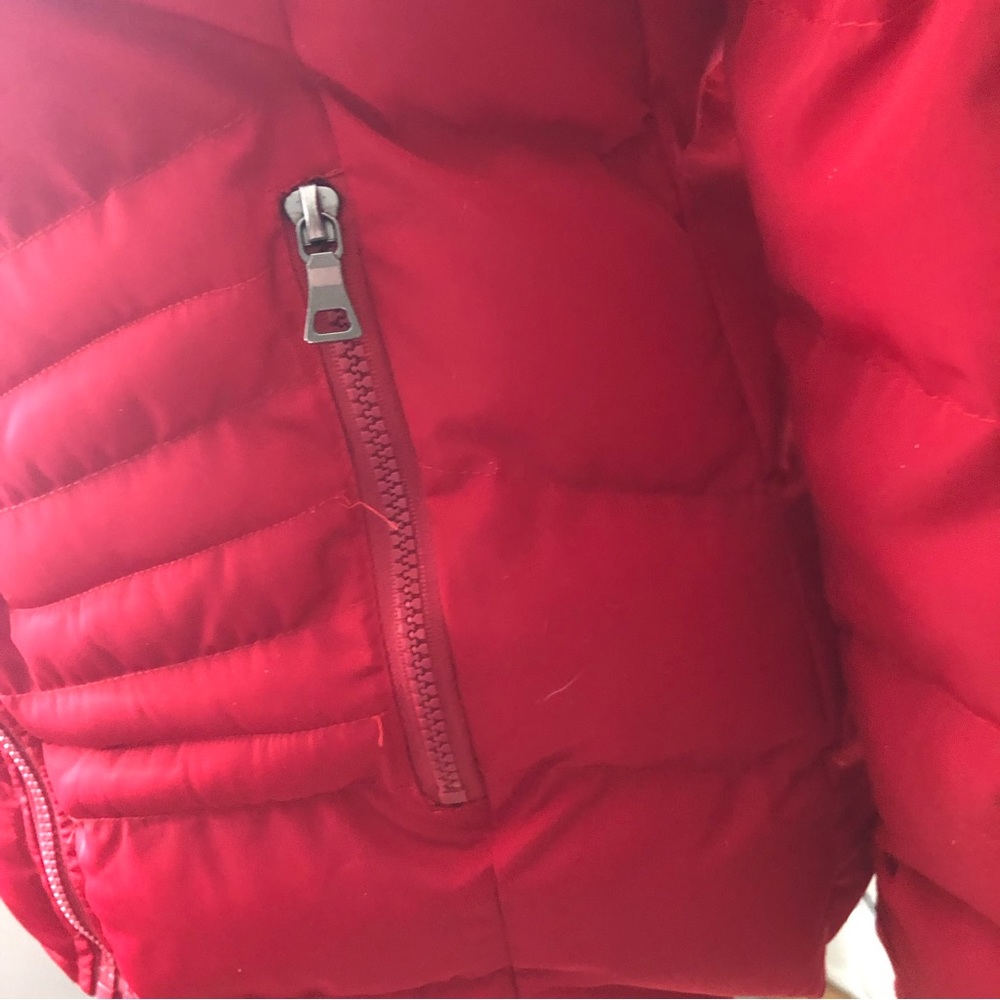 Red Short Puffer Jacket - Picture 6 of 11